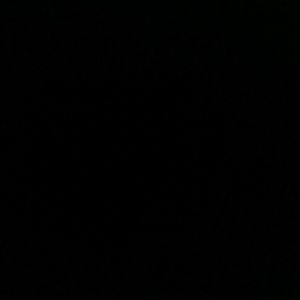 Meet your Posher, Damien